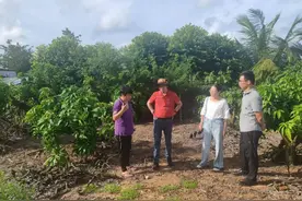 闻“风”而动，南亚所7支专家团赴粤琼多地开展“摩羯”灾后指导图片