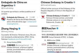 《花儿与少年·丝路季》迪丽热巴跳新疆舞  海外网友：感受到了中国民族文化的魅力！图片