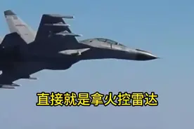 “2对4”！执行任务途中遭遇外机挑衅，我军飞行员坚决驱离图片