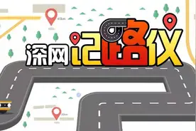 深网记“路”仪59：笋岗西路绿化隔离带让人胆战心惊 最新进展来了图片