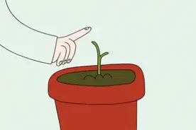 【“人民”科普】高质量长寿者的共同点：这4个身体指标控制得好图片