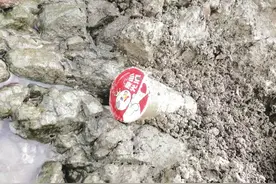 “限塑令”下被“遗忘”的奶茶杯何处去？多方呼吁宜“源头减量+末端回收”图片