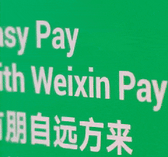 Make it Shenzhen 选择深圳  | Seamless Arrival 初到深圳 无忧通关