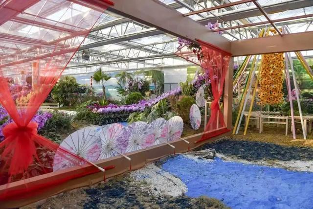 家庭园艺嘉年华｜北京兰花文化嘉年华将于明日启幕