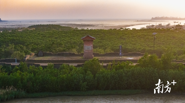 不光是盛典！12月20日，徐闻给你一个必来的理由