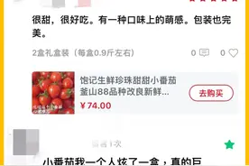 你们疯狂好评的仙品小番茄！！！图片