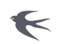 最美303省道的倡议书！