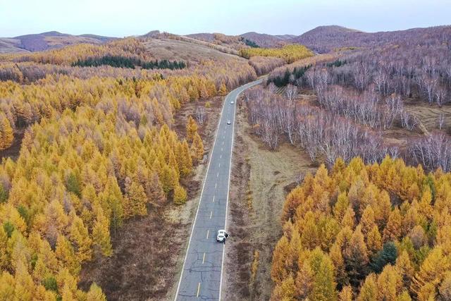 太美了！来副中心，邂逅落叶童话~