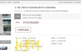 这家成立不足10日的公司，9128万元拍下济南国美电器西门店房产图片