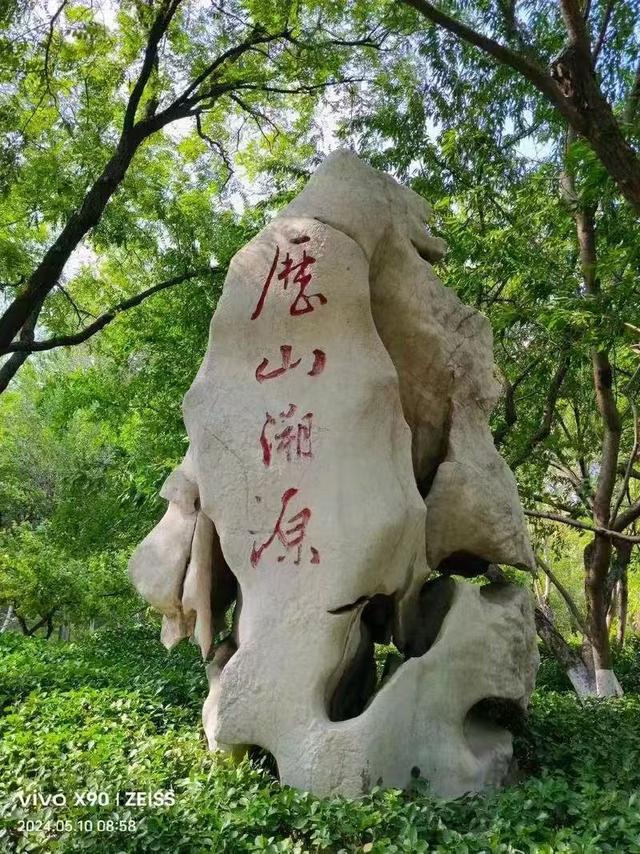 菊采芬芳蕊 诗留酩酊篇——千载盛景千佛山