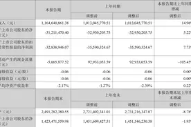 盛通股份：2023年上半年亏损3121.15万元图片