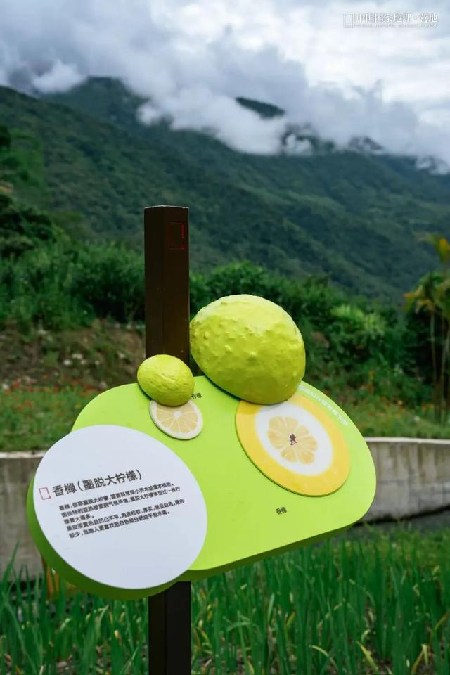墨脱自然导览系统，一条重回天地自然的科学游径