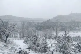 雪花飘落，银装素裹！一起来赏怀柔春雪美景图片