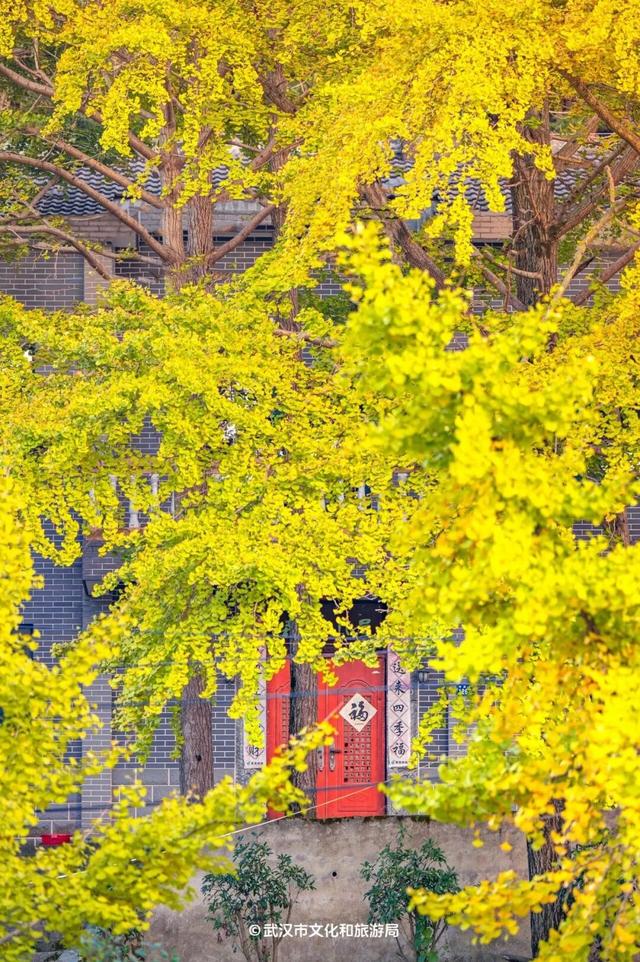 马上过节，武汉多家景区免票！