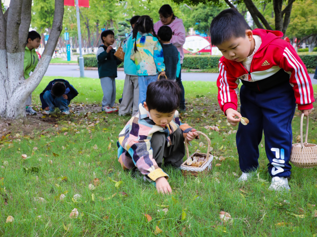 武进绝美打卡地！在嘉泽、湖塘、雪堰、前黄……