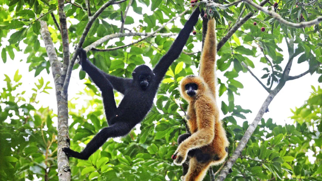 这个冬天，来海南，暖暖的！