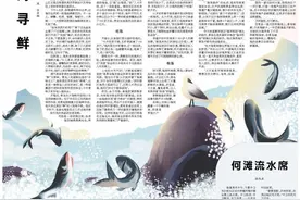 黄海寻鲜图片