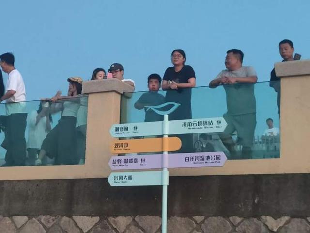 骑共享单车100公里，去看“最美日出”！上海兴起夜骑海盐风，亲历者表示，最大收获反而在路上