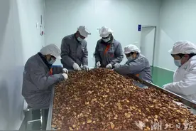 鹤峰获得首张中药类《药品生产许可证》图片