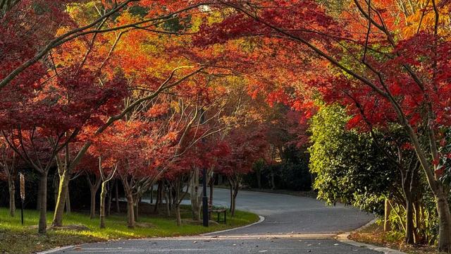太仙了！美到巅峰！这个周末，又要人人人啦~