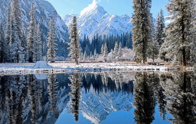 青睐绵阳 ‖ 彩林未尽,大雪已至!初冬的平武美成水墨画卷~