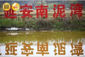 红色为底绿色为径 延安南泥湾的高质量发展之路越走越稳图片