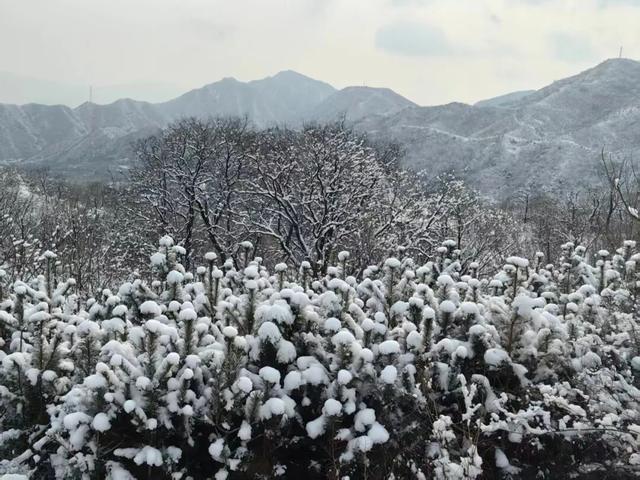这是2026年昌平的第一场雪！