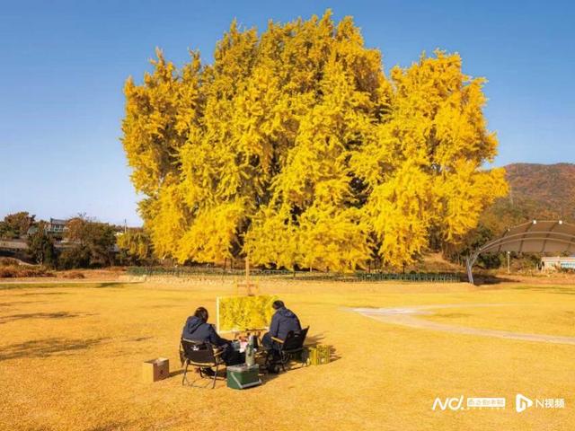 9月29日起团队免签，赴韩旅游市场加速恢复