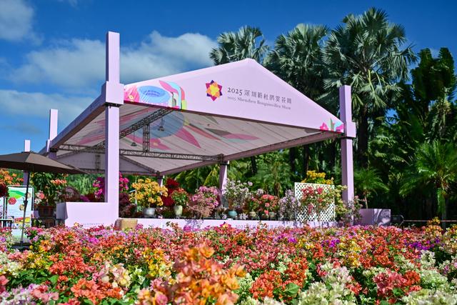 繁花盛宴邀你共赏，2025深圳簕杜鹃赏花周来啦！