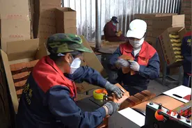 静宁：苹果套袋开始 果袋企业开足马力保供应图片