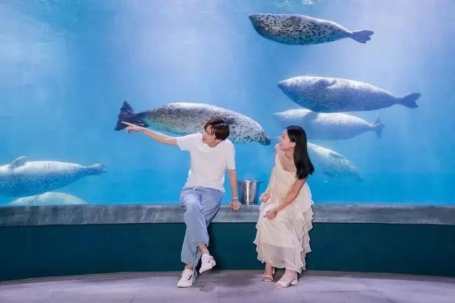 叮！这里有一份惊喜待您签收：海底看鱼群游过，海上听海浪唱歌~金秋青岛玩出新花样！
