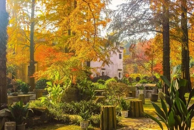 中国国家地理推介！宣城这里，将迎最美时刻！