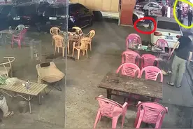 涉嫌盗窃！价值万元的网红鸭被人当街抱走，店主及时追回……图片