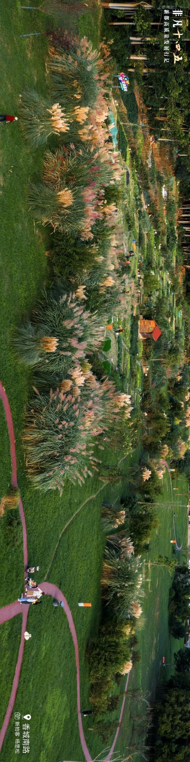 飞“阅”新都 | 一座生长在公园里的城市