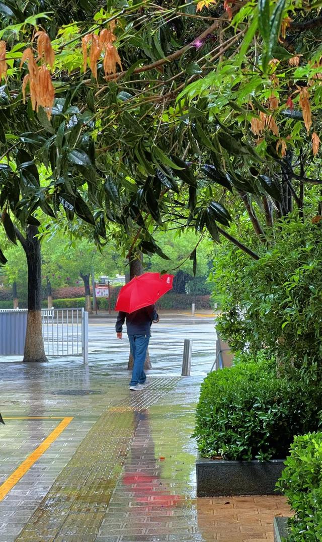 在雨中，读懂丽江的浪漫