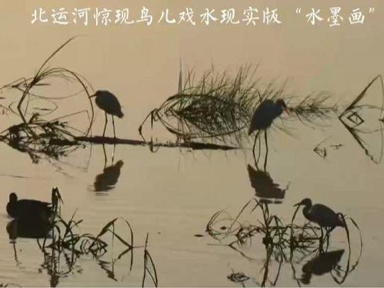 北京号最精彩｜玩转服贸会！这份全攻略请收下
