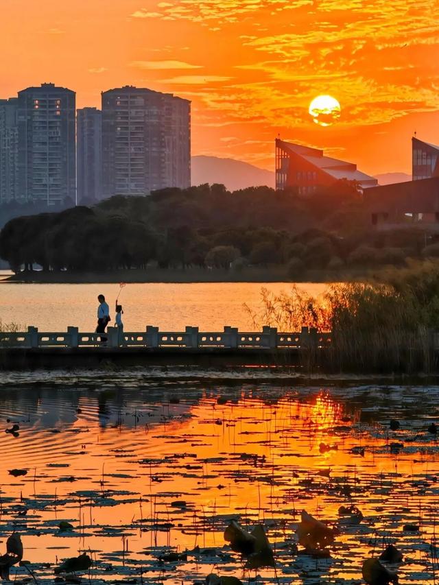 最美松湖 | 烦恼No，捡秋Go！来这里一键切换治愈模式