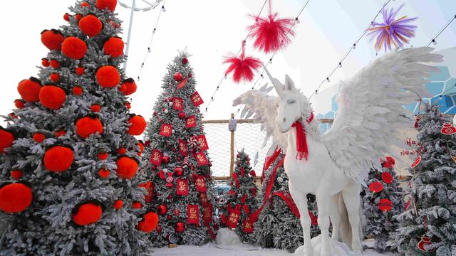 极地狂欢喜迎元旦！来哈尔滨极地公园一“企”贺新年！