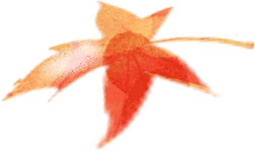 想你的“枫”，红了！终于红了！