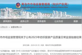 青岛市市场监督管理局关于公布2023年纺织服装产品质量日常监督抽查结果的公告图片
