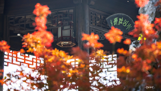 怎么能错过秦淮的秋天呢？