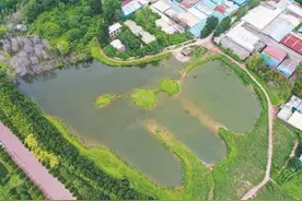 泉眼复涌美景现（在现场）图片