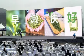 签约金额超4亿元！2025年四川宜宾早茶产销对接会开幕图片