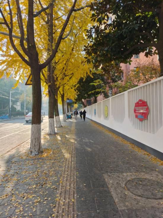 这场秋日浪漫别错过 申城落叶道体验进入倒计时