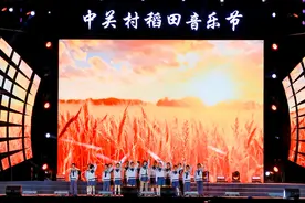 北京人的乡愁！海淀京西稻熟了，收割、音乐节等您来图片