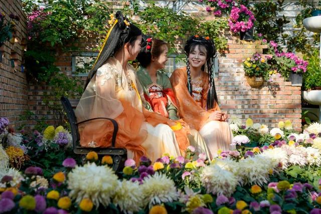 图说定西 | 深秋和菊花的浪漫邂逅