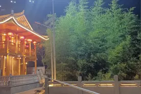 一生爱国情牵桑梓乡亲 致富返乡助力乡村振兴图片