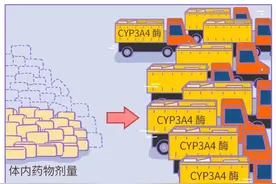 “极高风险”！吃药期间，这种水果最好别碰！图片