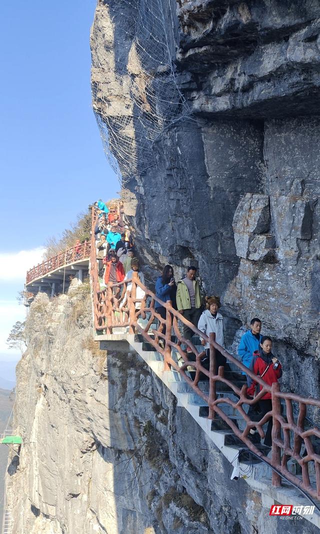 14名荒野求生“狠人”集结张家界七星山 解锁文旅融合新玩法