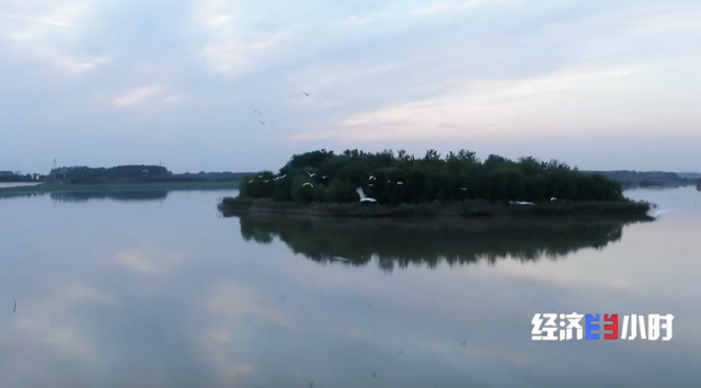 河南：大河之南 绿润中原